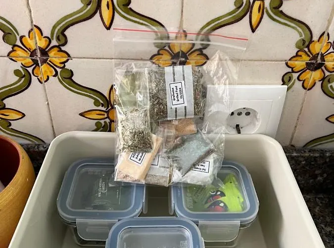 Casa Canavial ラゴス