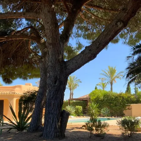 Casa Canavial Vakantiehuis